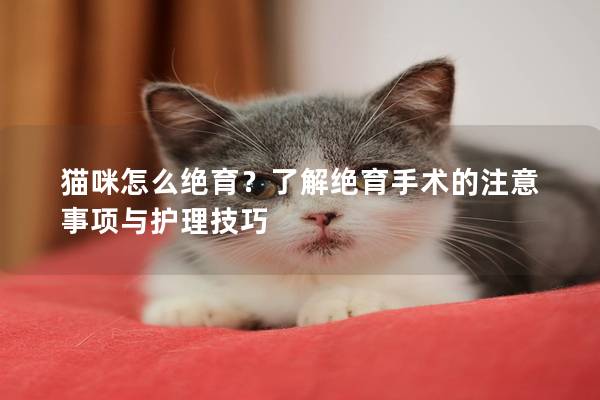 貓咪怎么絕育？了解絕育手術(shù)的注意事項(xiàng)與護(hù)理技巧