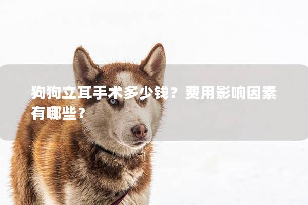 狗狗立耳手術(shù)多少錢？費(fèi)用影響因素有哪些？