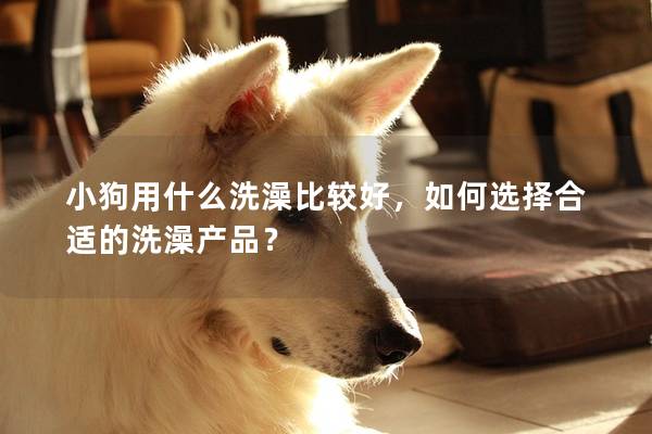 小狗用什么洗澡比較好，如何選擇合適的洗澡產品？