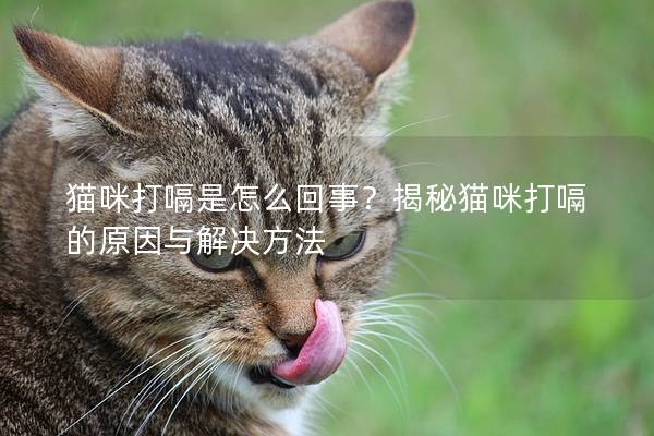 貓咪打嗝是怎么回事？揭秘貓咪打嗝的原因與解決方法