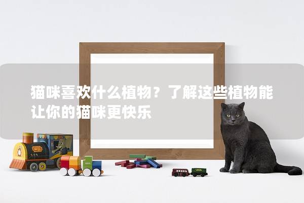貓咪喜歡什么植物？了解這些植物能讓你的貓咪更快樂