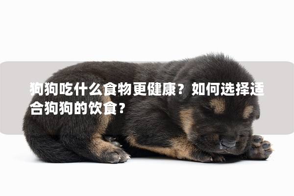 狗狗吃什么食物更健康?如何選擇適合狗狗的飲食? 狗狗吃什么食物更健康?如何選擇適合狗狗的飲食?