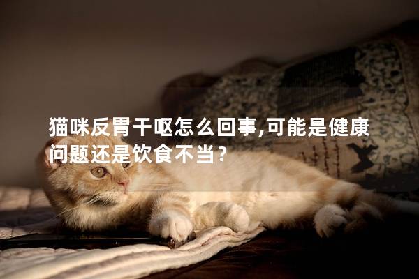 貓咪反胃干嘔怎么回事,可能是健康問題還是飲食不當(dāng)？
