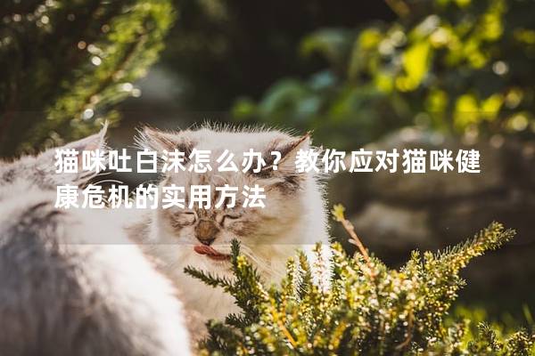 貓咪吐白沫怎么辦？教你應(yīng)對(duì)貓咪健康危機(jī)的實(shí)用方法