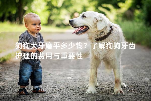 狗狗犬牙磨平多少錢？了解狗狗牙齒護理的費用與重要性