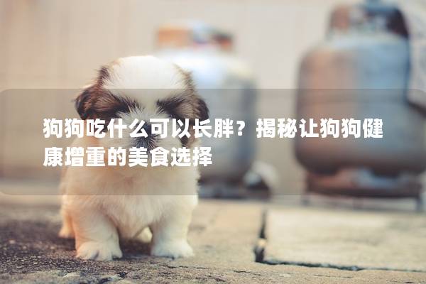 狗狗吃什么可以長胖？揭秘讓狗狗健康增重的美食選擇