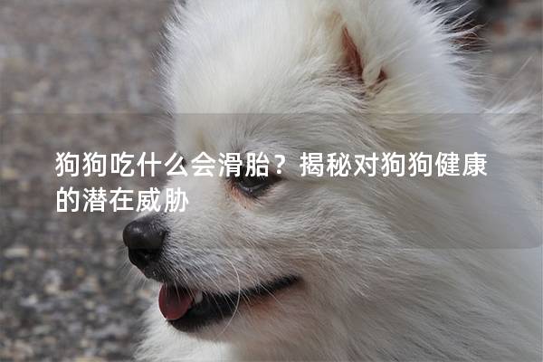 狗狗吃什么會滑胎？揭秘對狗狗健康的潛在威脅