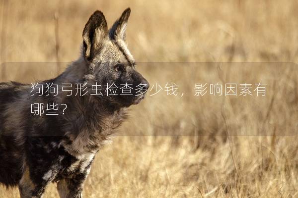 狗狗弓形蟲檢查多少錢，影響因素有哪些？