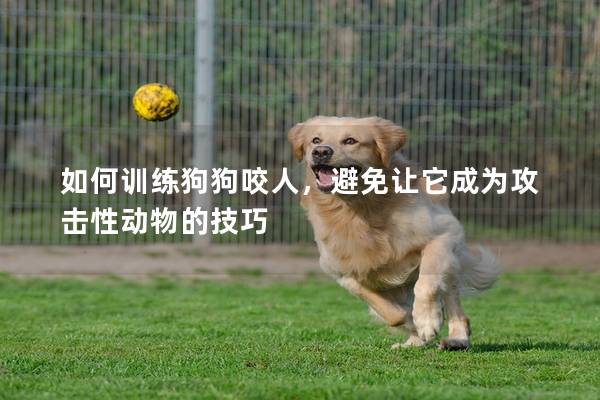 如何訓練狗狗咬人，避免讓它成為攻擊性動物的技巧