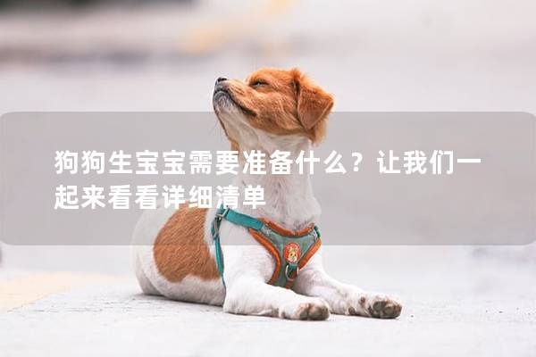 狗狗生寶寶需要準備什么？讓我們一起來看看詳細清單