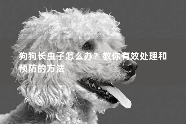 狗狗長(zhǎng)蟲(chóng)子怎么辦？教你有效處理和預(yù)防的方法