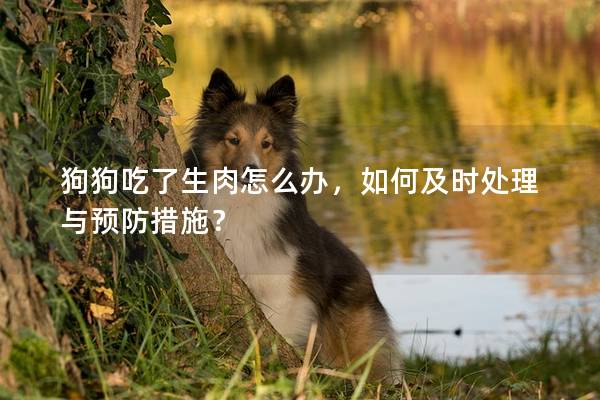 狗狗吃了生肉怎么辦，如何及時處理與預防措施？