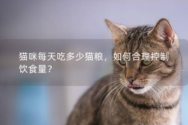 貓咪每天吃多少貓糧，如何合理控制飲食量？
