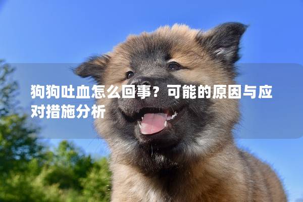 狗狗吐血怎么回事？可能的原因與應(yīng)對措施分析