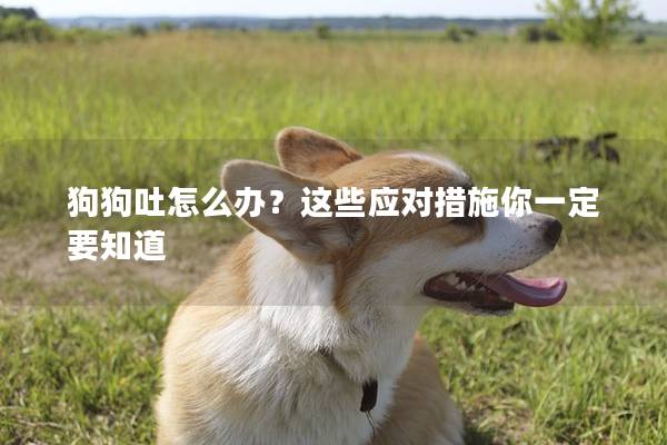 狗狗吐怎么辦?這些應對措施你一定要知道 狗狗吐怎么辦?這些應對措施你一定要知道