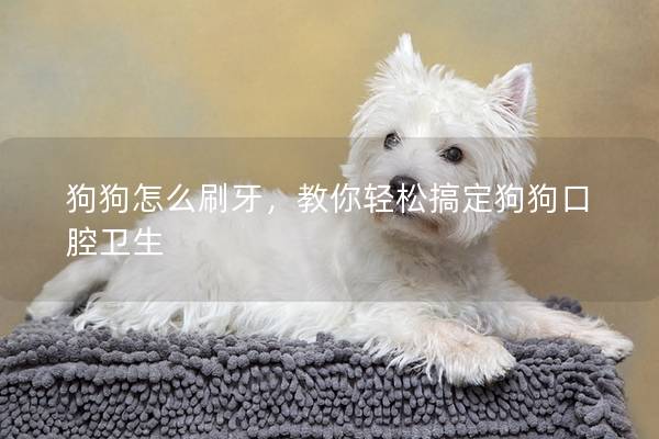 狗狗怎么刷牙，教你輕松搞定狗狗口腔衛(wèi)生