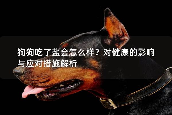 狗狗吃了鹽會怎么樣？對健康的影響與應對措施解析