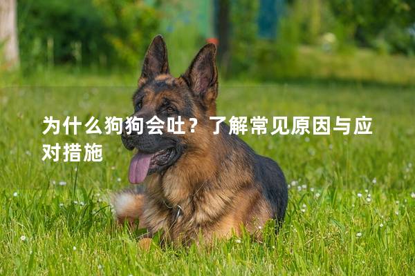 為什么狗狗會吐？了解常見原因與應對措施