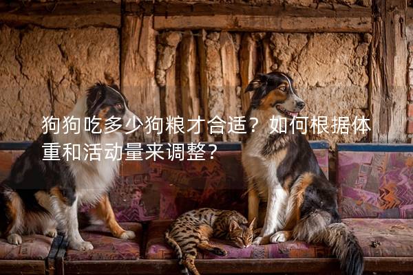 狗狗吃多少狗糧才合適?如何根據體重和活動量來調整? 狗狗吃多少狗糧才合適?如何根據體重和活動量來調整?