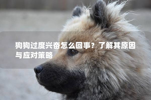 狗狗過度興奮怎么回事？了解其原因與應對策略