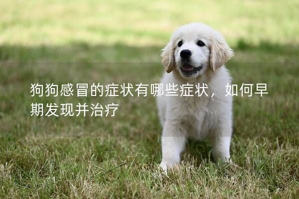 狗狗感冒的癥狀有哪些癥狀，如何早期發現并治療