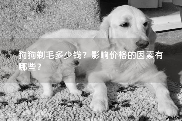 狗狗剃毛多少錢？影響價格的因素有哪些？