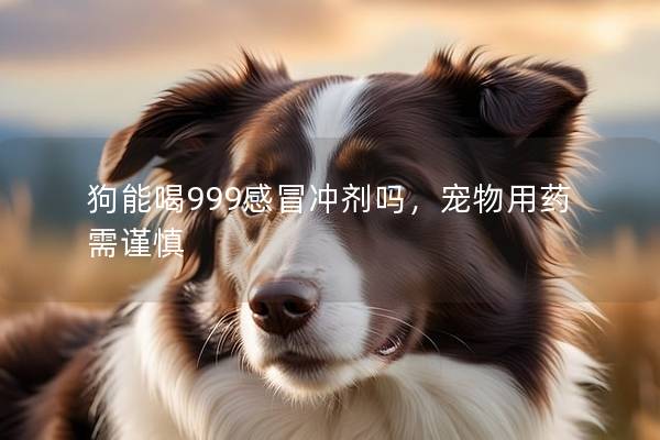 狗能喝999感冒沖劑嗎，寵物用藥需謹慎