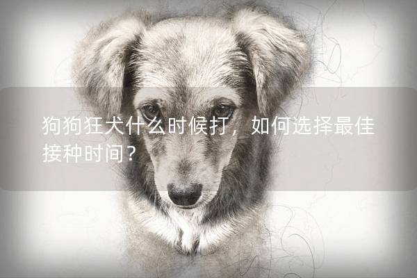 狗狗狂犬什么時候打，如何選擇最佳接種時間？
