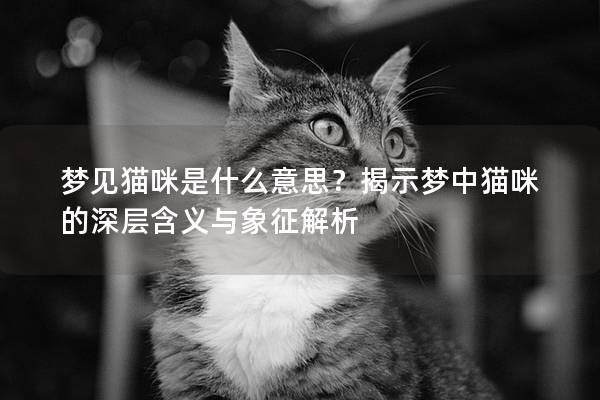夢見貓咪是什么意思？揭示夢中貓咪的深層含義與象征解析
