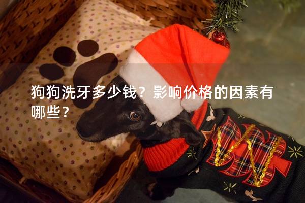 狗狗洗牙多少錢？影響價格的因素有哪些？