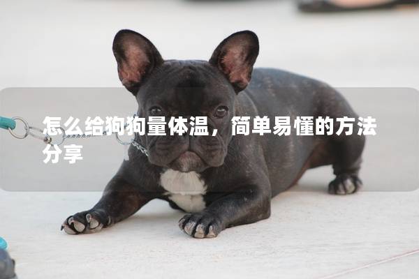 怎么給狗狗量體溫，簡(jiǎn)單易懂的方法分享