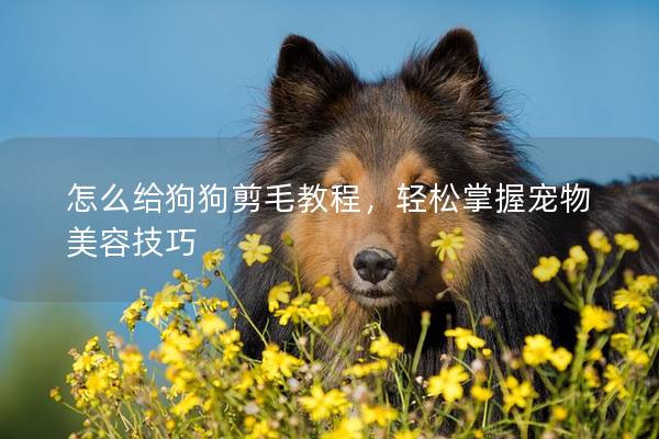 怎么給狗狗剪毛教程，輕松掌握寵物美容技巧