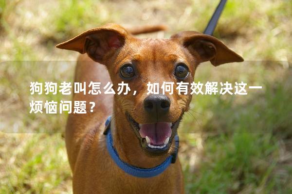 狗狗老叫怎么辦，如何有效解決這一煩惱問(wèn)題？