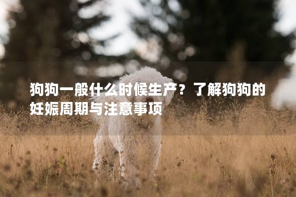 狗狗一般什么時候生產？了解狗狗的妊娠周期與注意事項