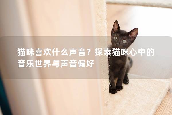 貓咪喜歡什么聲音？探索貓咪心中的音樂(lè)世界與聲音偏好