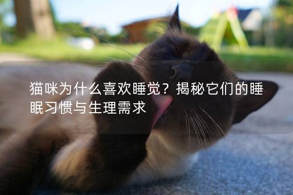 貓咪為什么喜歡睡覺？揭秘它們的睡眠習慣與生理需求
