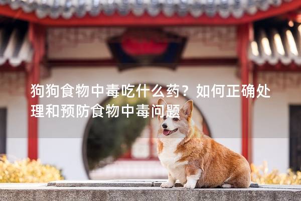 狗狗食物中毒吃什么藥？如何正確處理和預(yù)防食物中毒問(wèn)題