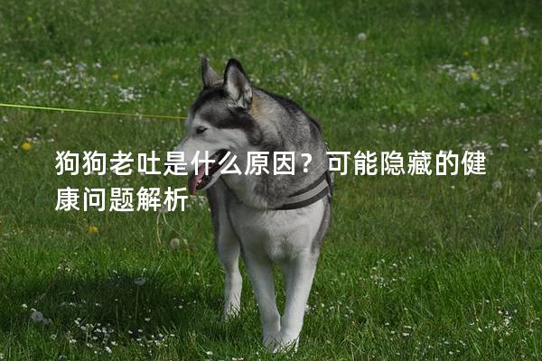 狗狗老吐是什么原因？可能隱藏的健康問題解析