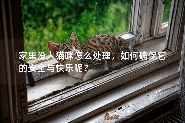 家里沒人貓咪怎么處理，如何確保它的安全與快樂呢？