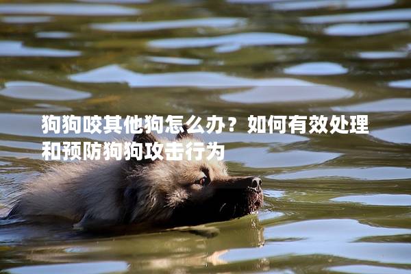 狗狗咬其他狗怎么辦？如何有效處理和預防狗狗攻擊行為
