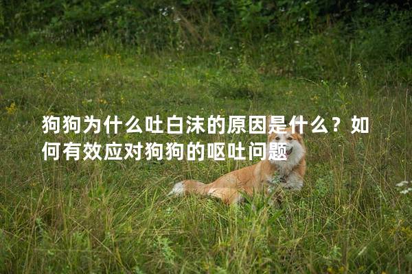 狗狗為什么吐白沫的原因是什么？如何有效應(yīng)對(duì)狗狗的嘔吐問(wèn)題