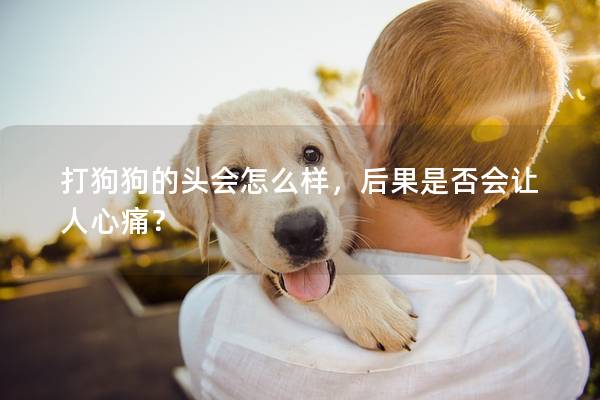 打狗狗的頭會怎么樣，后果是否會讓人心痛？