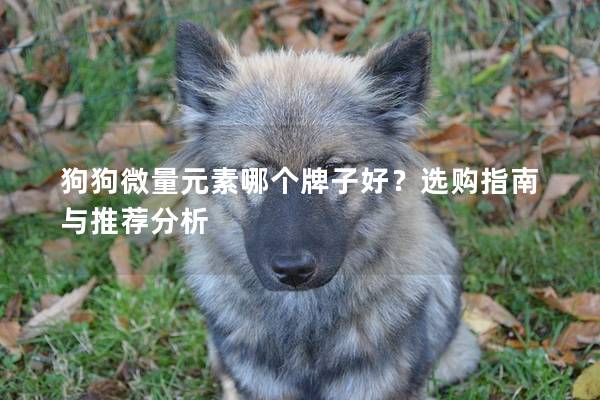 狗狗微量元素哪個(gè)牌子好？選購(gòu)指南與推薦分析
