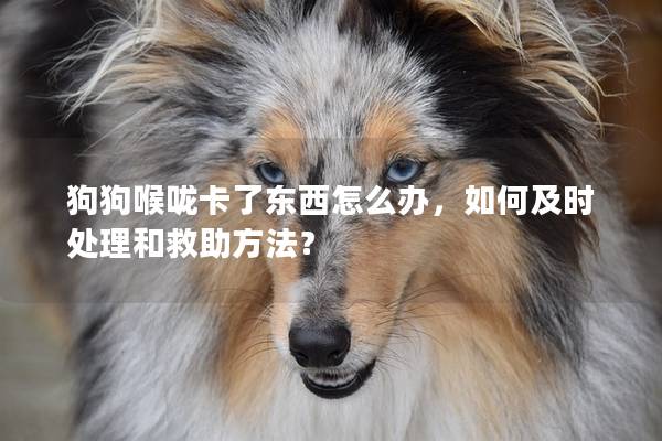 狗狗喉嚨卡了東西怎么辦，如何及時(shí)處理和救助方法？