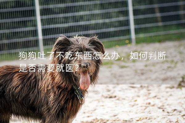 狗狗吐了不吃東西怎么辦，如何判斷是否需要就醫？
