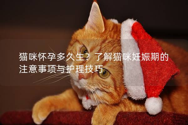 貓咪懷孕多久生？了解貓咪妊娠期的注意事項(xiàng)與護(hù)理技巧