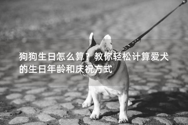 狗狗生日怎么算？教你輕松計(jì)算愛犬的生日年齡和慶祝方式