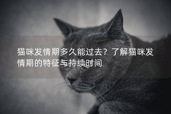 貓咪發情期多久能過去？了解貓咪發情期的特征與持續時間