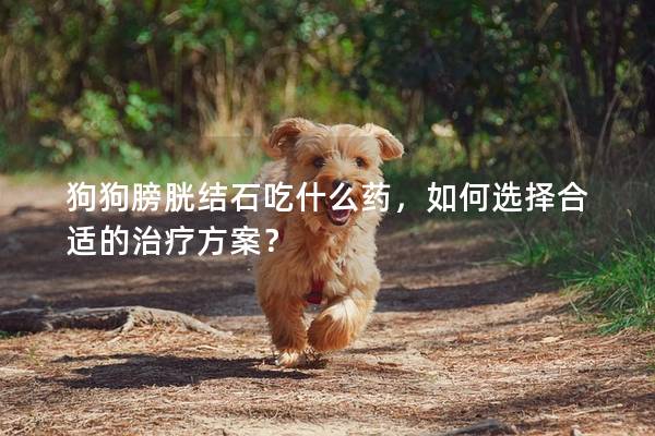 狗狗膀胱結石吃什么藥，如何選擇合適的治療方案？