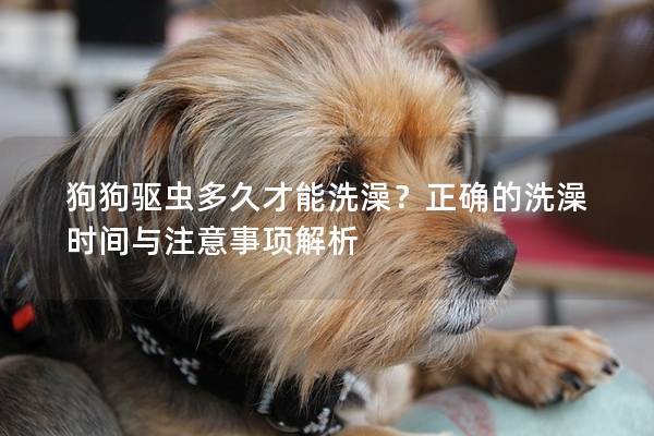 狗狗驅蟲多久才能洗澡？正確的洗澡時間與注意事項解析